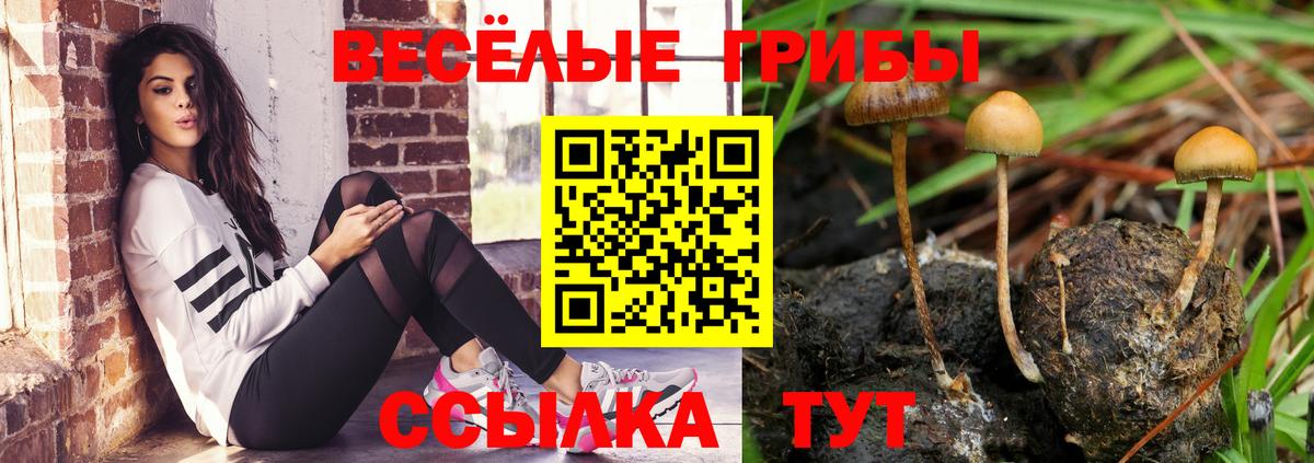 Псилоцибиновые грибы мухоморы Дербент