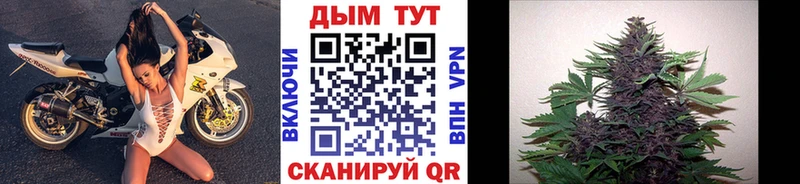 МАРИХУАНА Amnesia  где купить наркоту  Дербент 